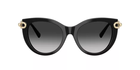 Tiffany TF 4232 80013C