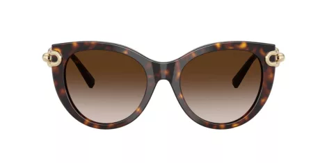 Tiffany TF 4232 80153B