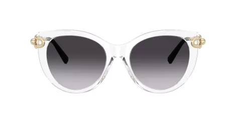 Tiffany TF 4232 80473C