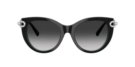 Tiffany TF 4232 80553C