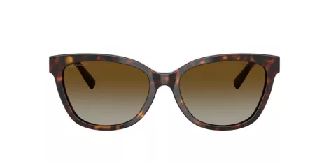 Tiffany TF 4237B 8015T5