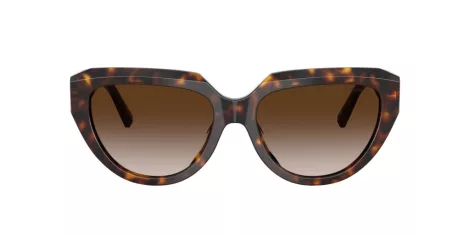 Tiffany TF 4238U 80153B