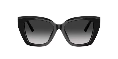 Tiffany TF 4239U 80013C