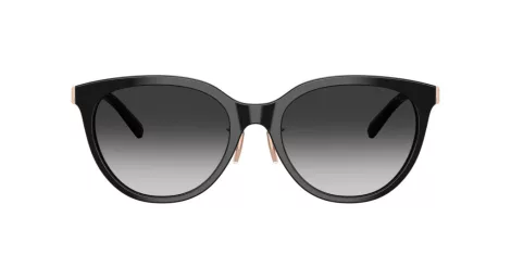 Tiffany TF 4243D 80013C