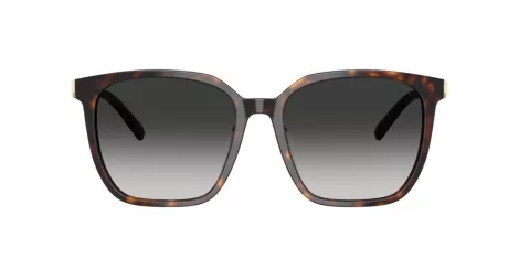 Tiffany TF 4244D 80153C