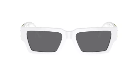 Versace VE 4459 314/87